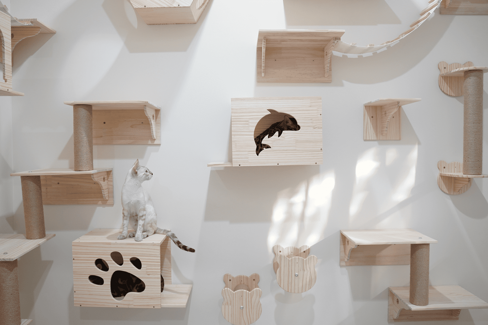 Purrfect Furry Friends Tips to Choose Best Cat Climbing Wall